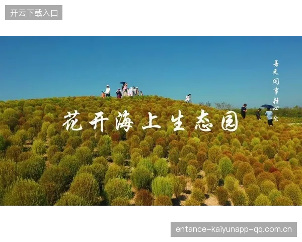 泰山海港积分过百：从“海上金山”到“数字化升级”新高度